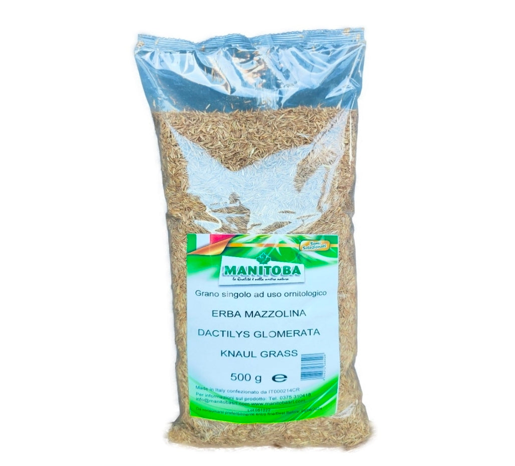 Knaulgras (kropaar) 500g - Manitoba