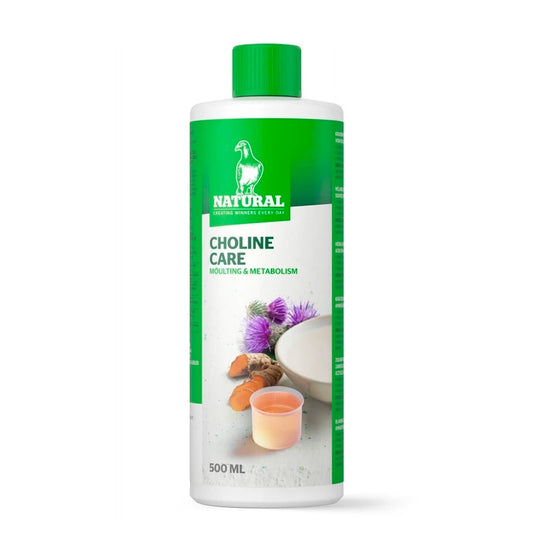 Choline Care 500ml, Kruiden Elixer - Natural