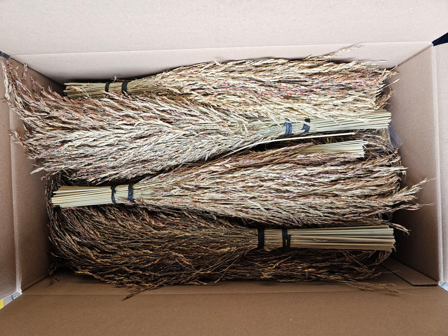 Delicha Gras sprays / bundels - Voor Vogels en Hamsters