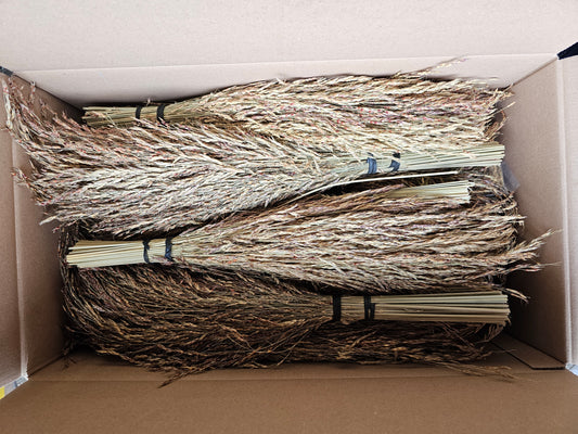 Delicha Gras 2 sprays / bundels - Voor Vogels en Hamsters