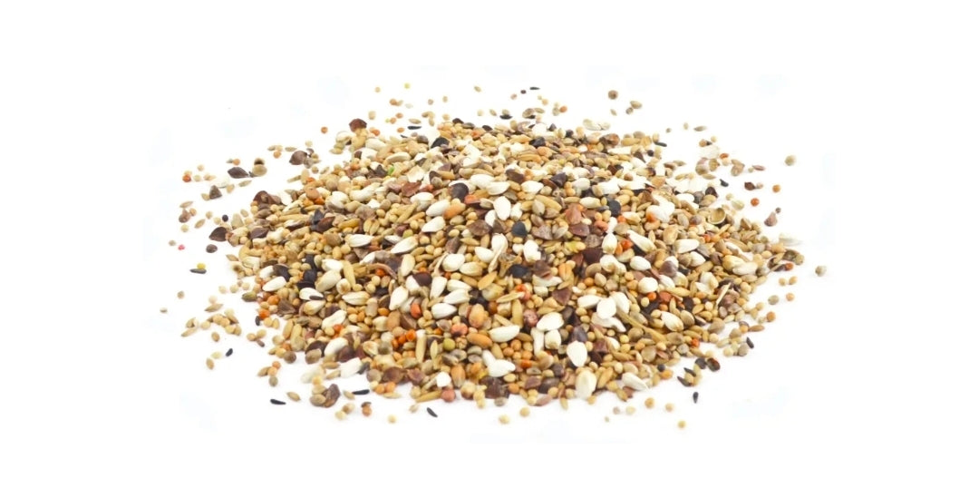 AGAPORNIDE & NEOPHEMA MIX BIRD-X 20KG