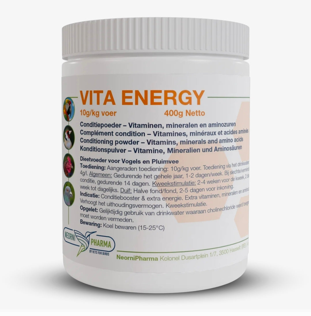 Vita Energy 400 Gram - Neornipharma