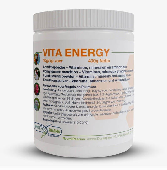 Vita Energy 400 Gram - Neornipharma