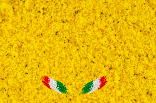 Bravo Vochtig Geel Eivoer 4kg - Bird-X met Italia