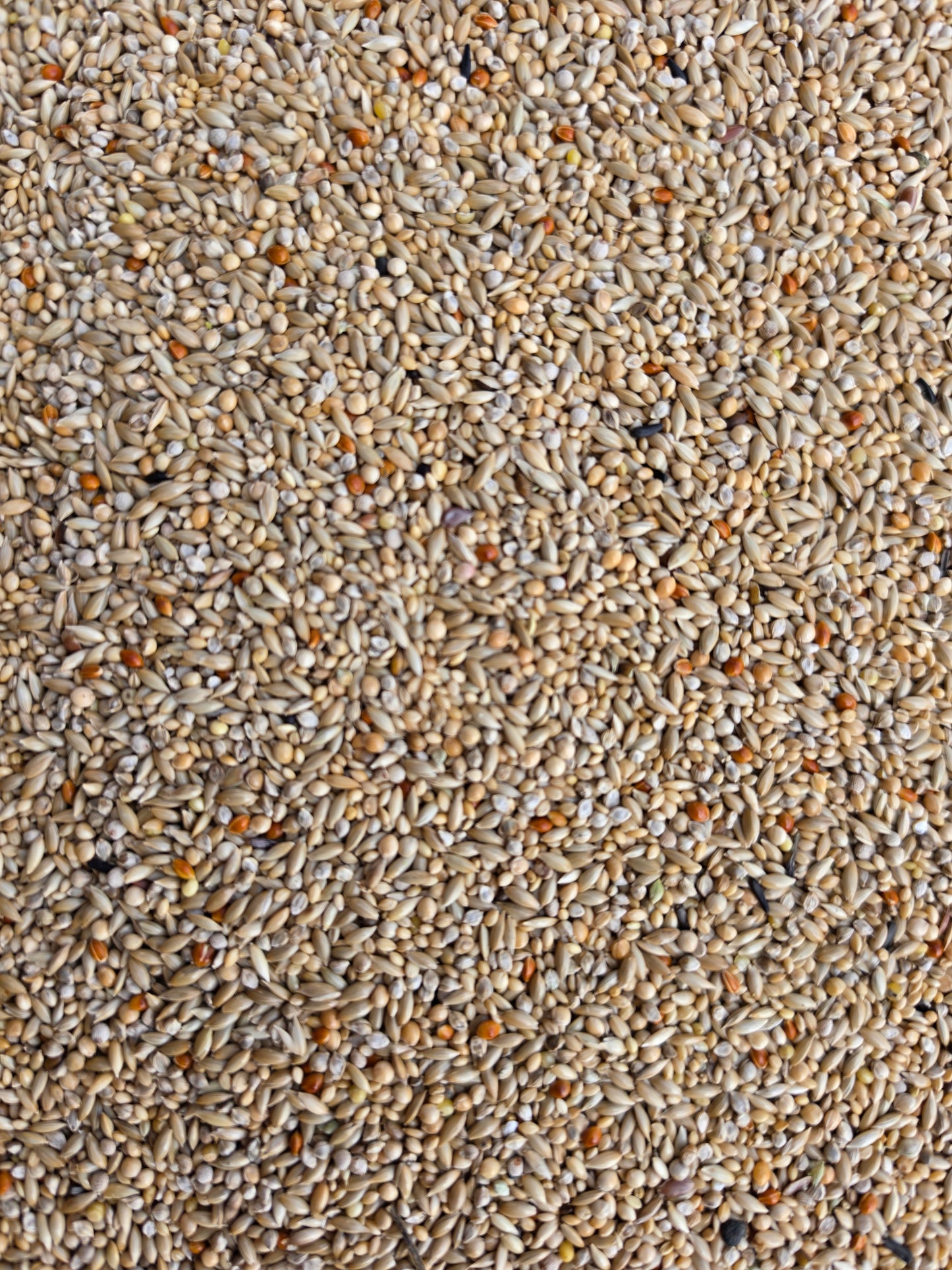 Prestige Tropische Vogels 20kg - Versele Laga