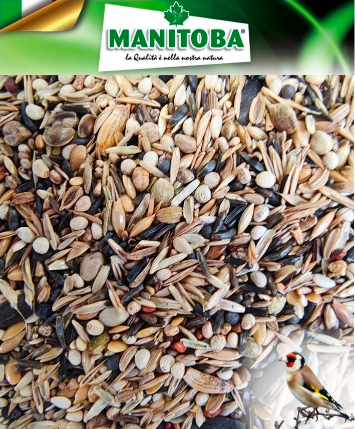 Manitoba Cardellino Major - Distelvinken 2.5 kg