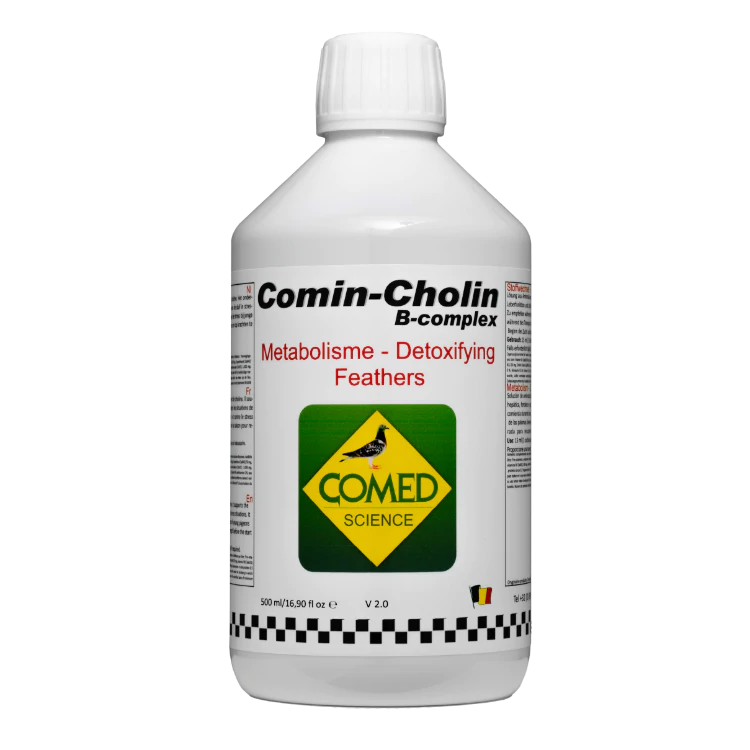 Comin-choline B-complex Bird, ondersteunt de stofwisseling en versterkt het lichaam 500ml - Comed