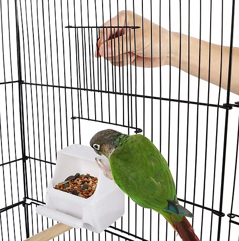 Lisa Vogelkooi Op Staander Zwart