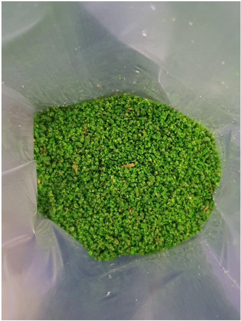 Verdure Rul Eivoer ( + Vitamine Complex ), Op Basis van wortel, venkel en tomaat - Pineta Zootecnici