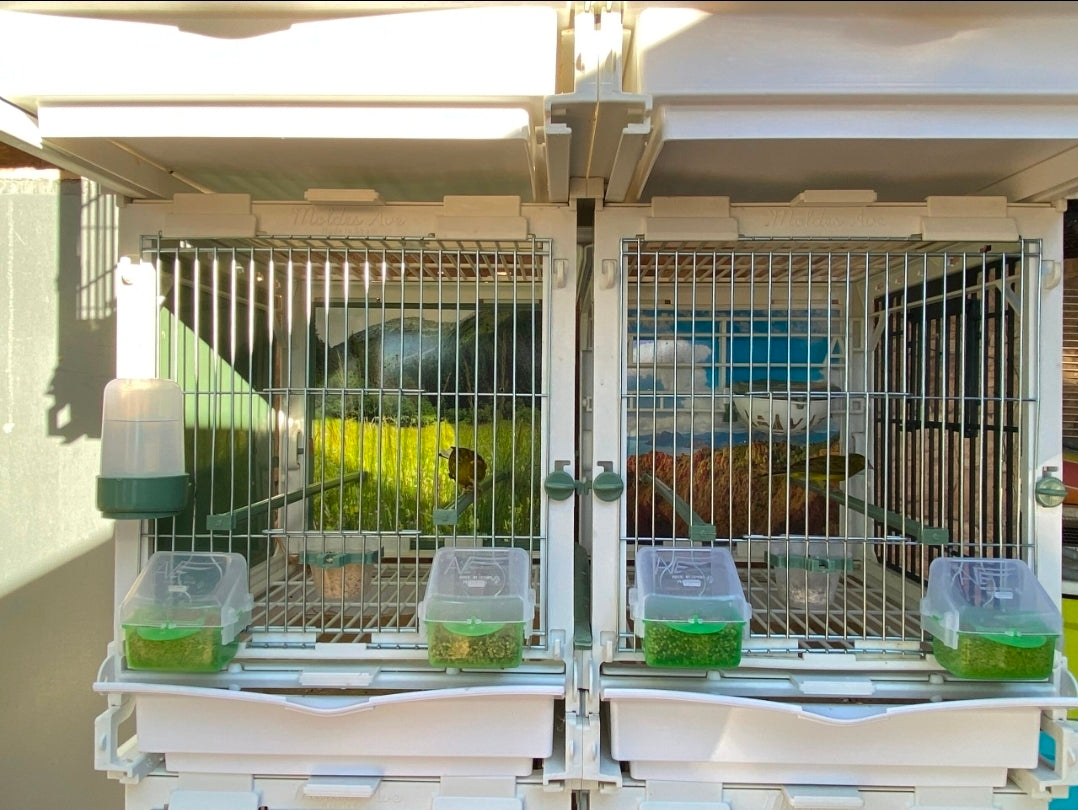 Model SG2, kooimodule 70cm - MA Kooi Moldes Ave