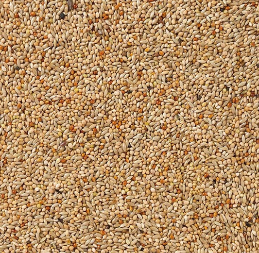 Exotische vogels standaard - 1kg uitgepond - vogelvoer