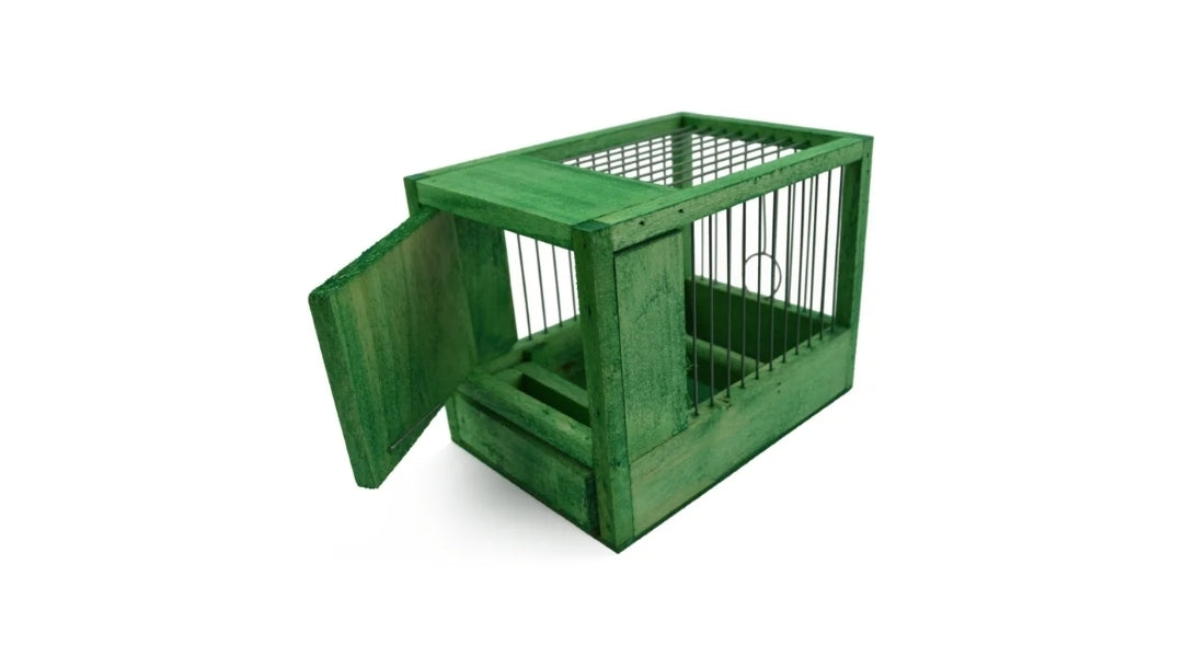 Kleine Kooi Groen 21x15.5x14.5cm