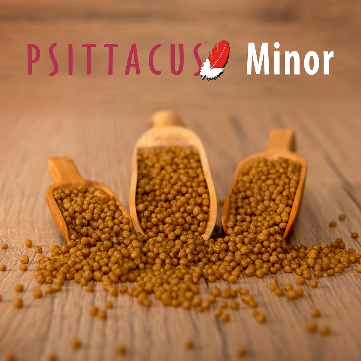 Psittacus Minor 450 gram