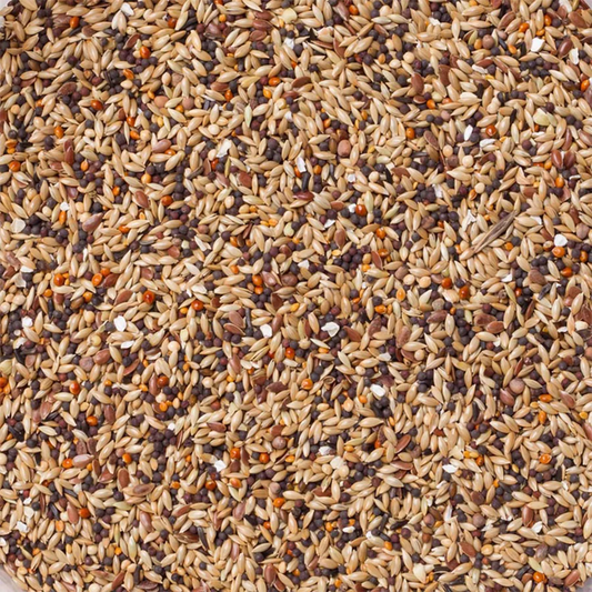 Deli Nature 92 Vinken Sport 5kg ( zelf verpakt )