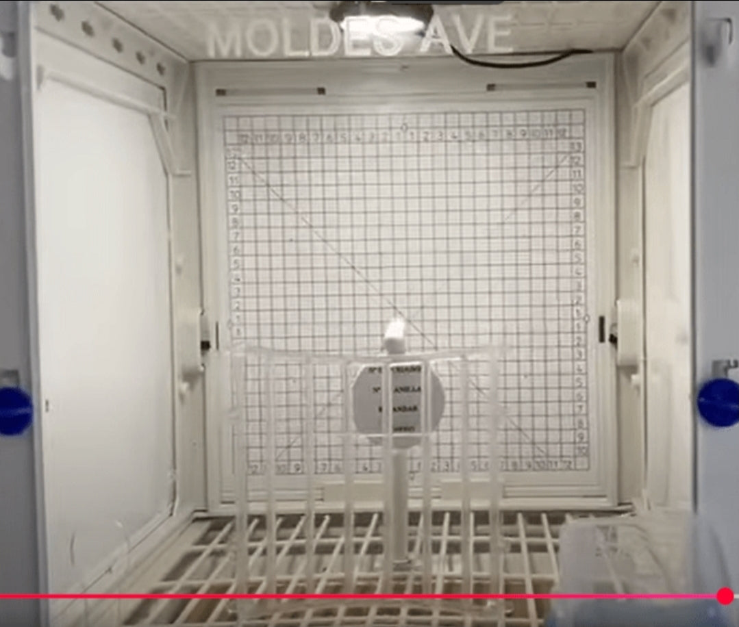 Fotokooi & Presentatiekooi - MA Kooi - Moldes Ave