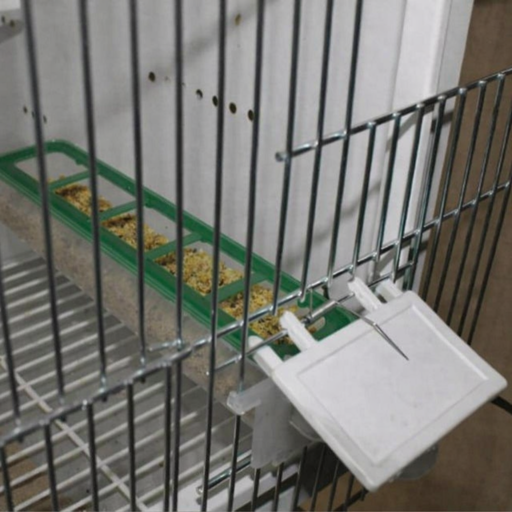 Apollo Feeder ( groen ) - Moldes Ave