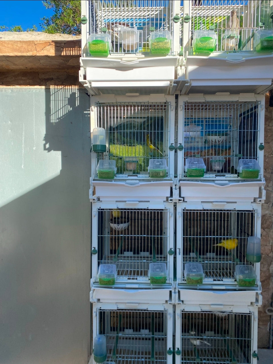 Model SG2, cage module 70cm - MA Cage Moldes Ave – Birdshop Christina ...