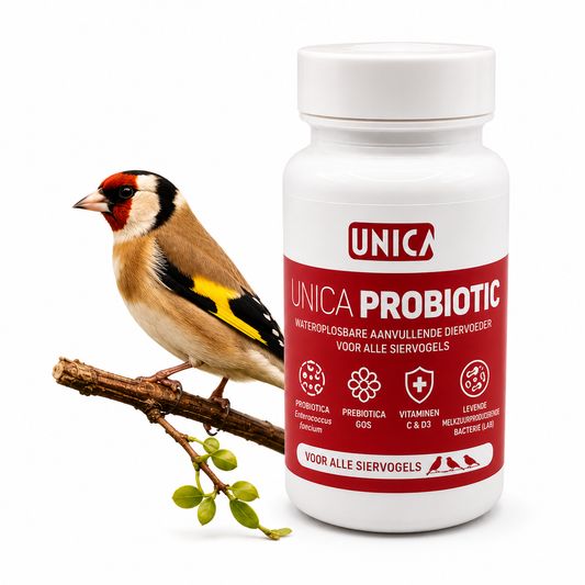 Probiotic Vit C + D3 - 50 Gram ( wateroplosbaar 2g/10L water ) Unica