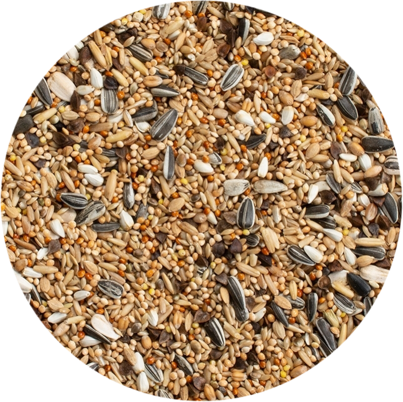 Grote Parkieten Standaard 20kg - Deli Nature 30