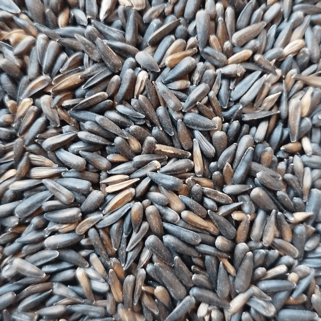 Micro Zwarte Zonnebloempitten 1kg