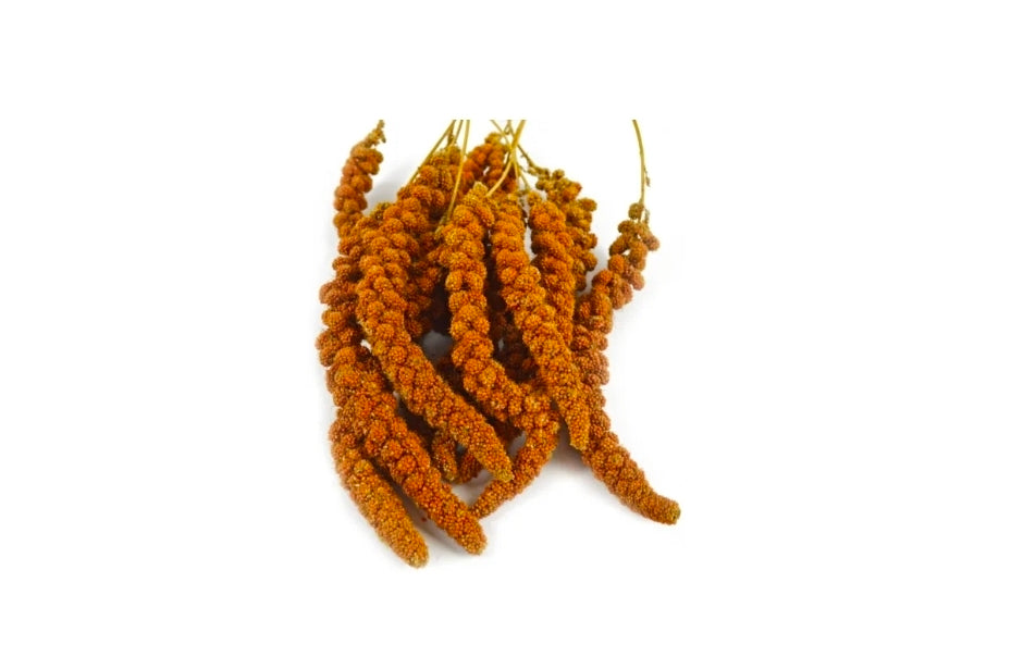 Trosgierst Rood 200 Gram - Tyrol