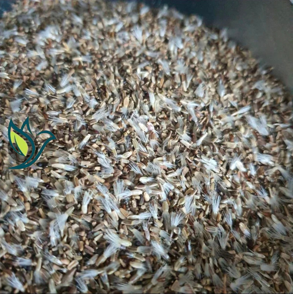 Kleine distel & Cichorei Premium Blend (1kg) - Herb Bird Mix