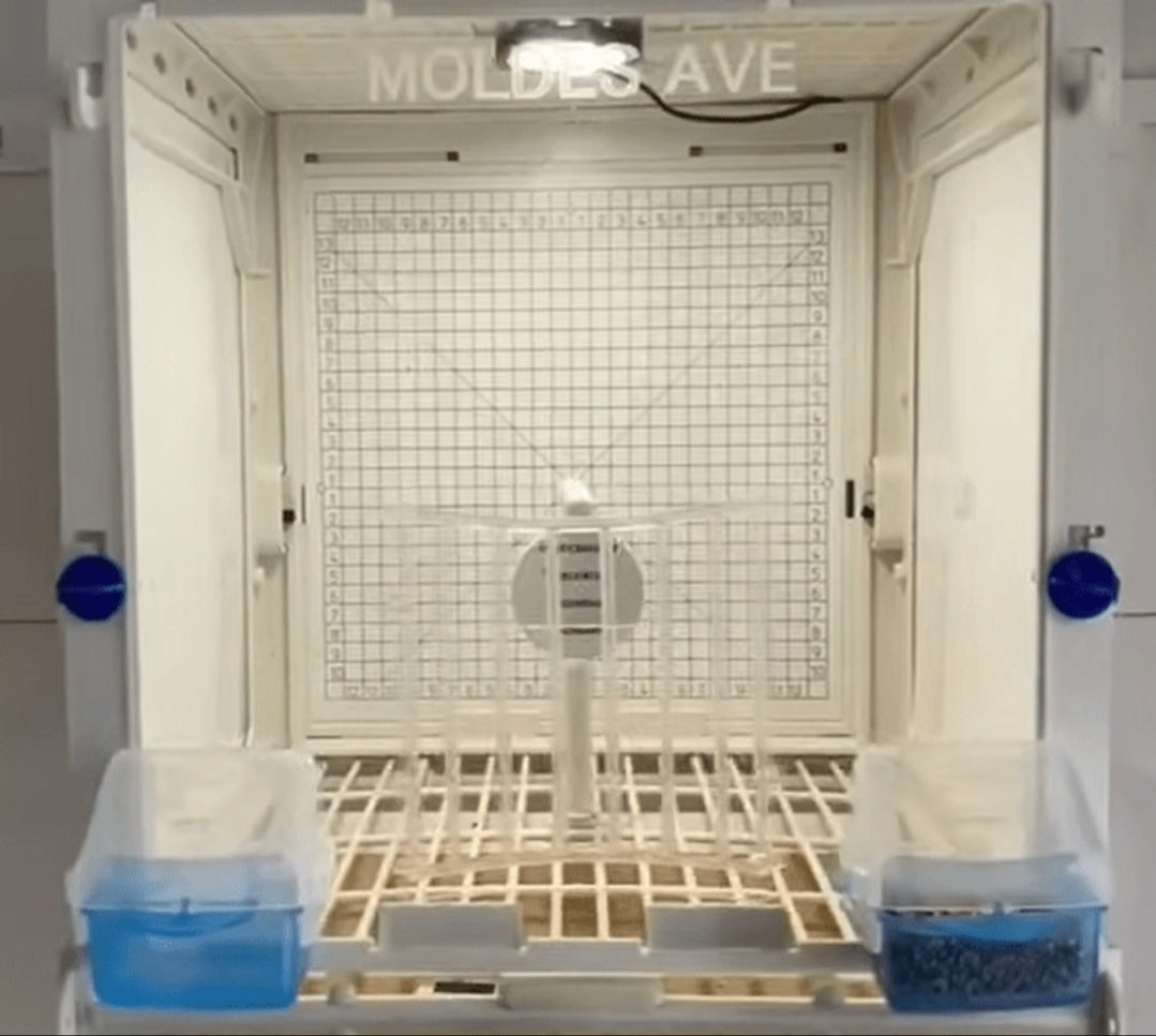 Fotokooi & Presentatiekooi - MA Kooi - Moldes Ave