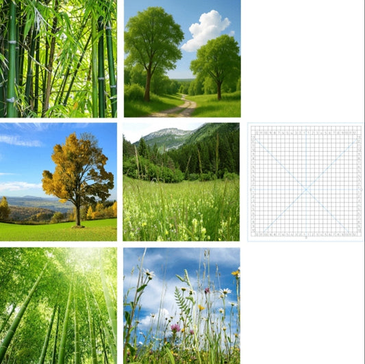 Decoratieve vinylachtergronden voor "Alle MA Kooien" - Moldes Ave