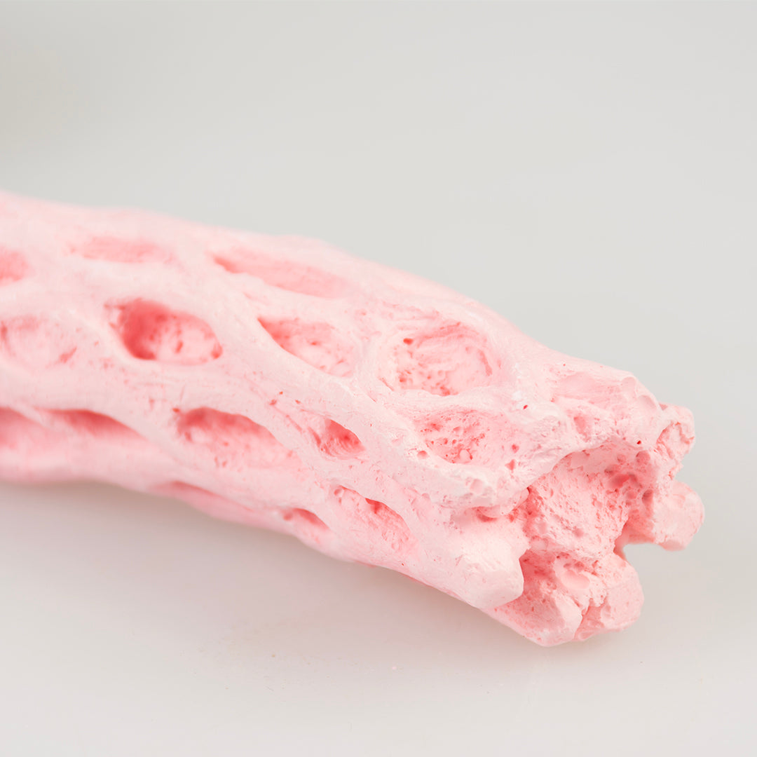 Bijenpollen Vogel zitstok - Roze L - 26,5x4,5x4,5cm