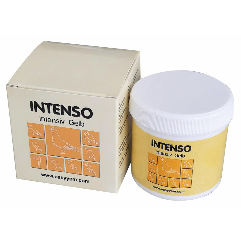 Intenso 100 gram ( Gele Kleurstof ) - Easseym