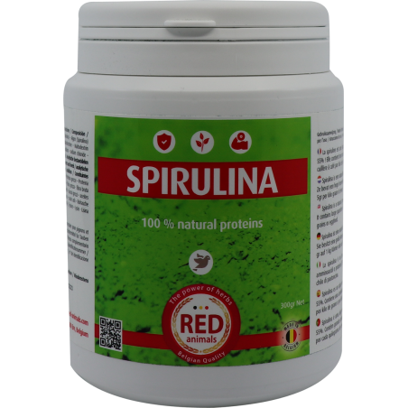 Spirulina (Een Bron Van Eiwitten, Algen) 300 Gram