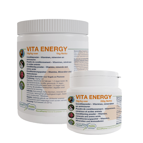 Vita Energy 250 Gram - Neornipharma