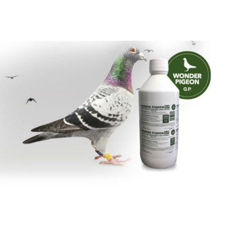 Wonder Pigeon Für Tauben – Ergänzungsfuttermitt Produktbild-Vorschau 3