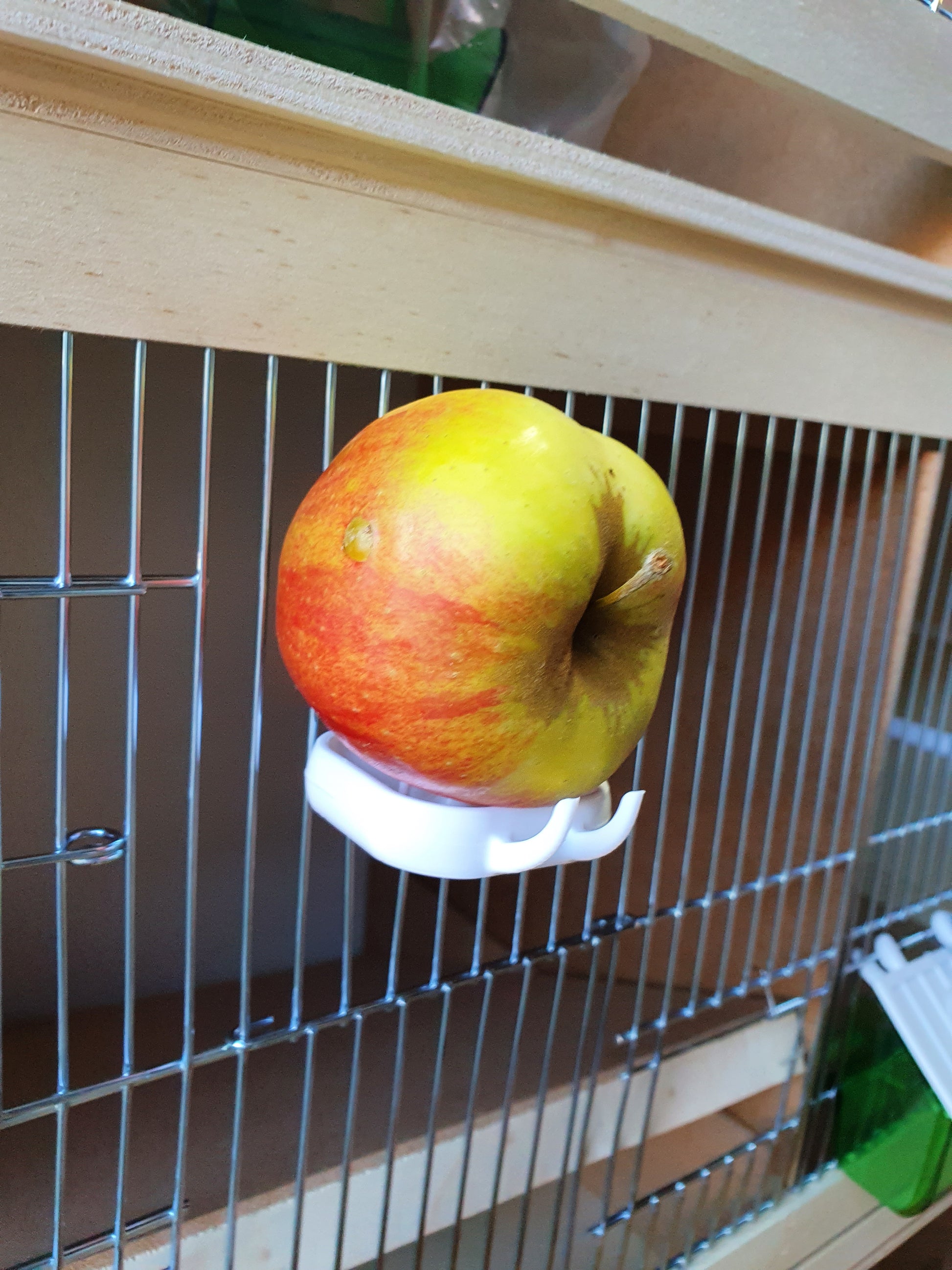 Pressa Per Frutta FARM 25 Gabbia Inox - Foto 6