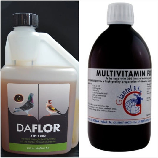 Daflor 3in1 Mix 250ml + Multivitamine Forte Giantel 500ml