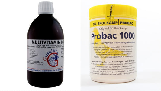 Combo Pack - Multivitamine Forte Duiven + Probac 1000