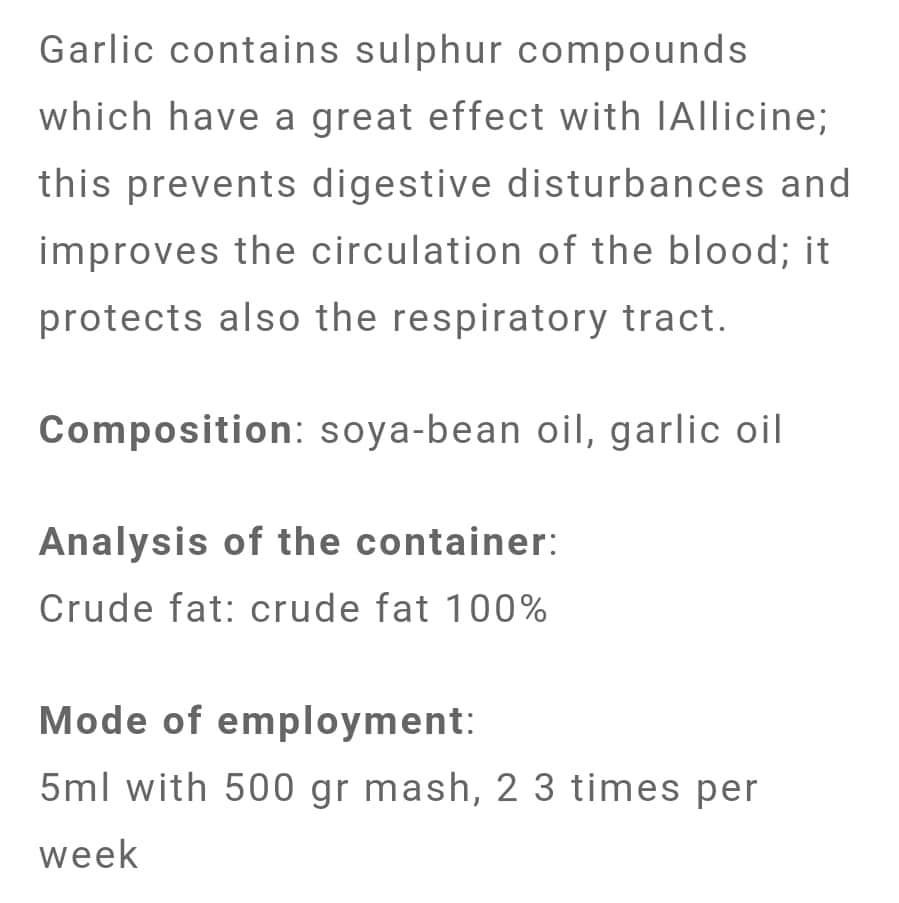 Garlic, Verbeterd De Bloedcirculatie en Helpt Het Spijsvertering Systeem