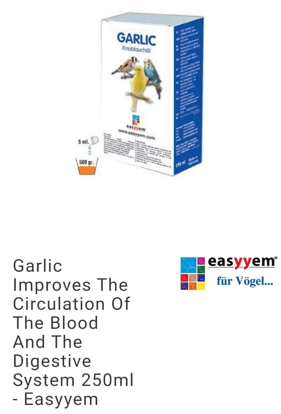 Garlic, Verbeterd De Bloedcirculatie en Helpt Het Spijsvertering Systeem