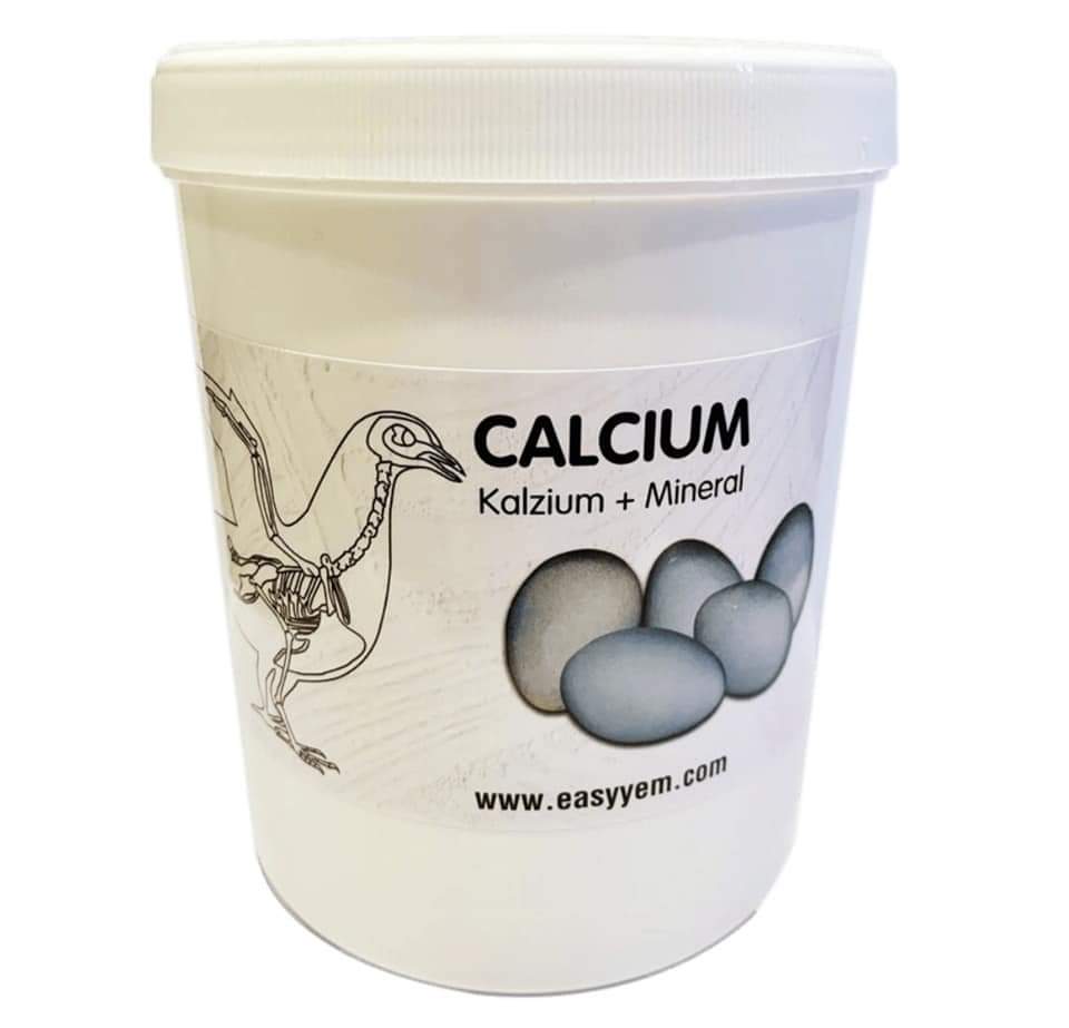 Calcium en Mineral 500 gram - Easseym
