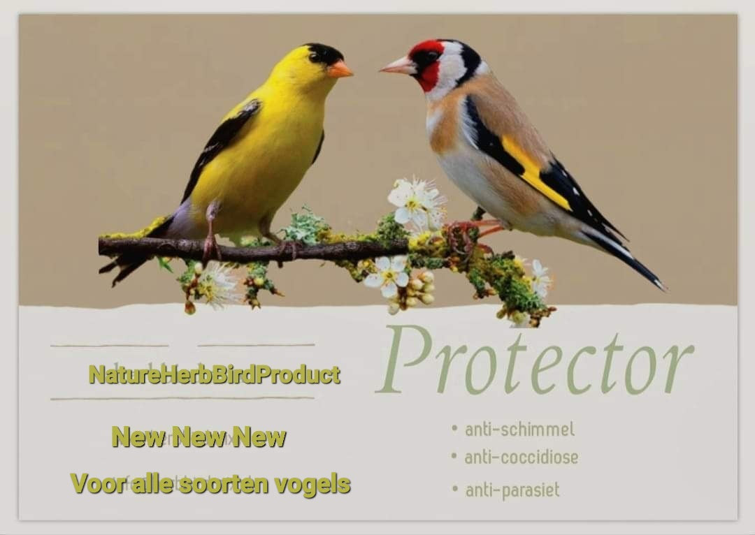 Protector 50ml - Herb Bird Mix