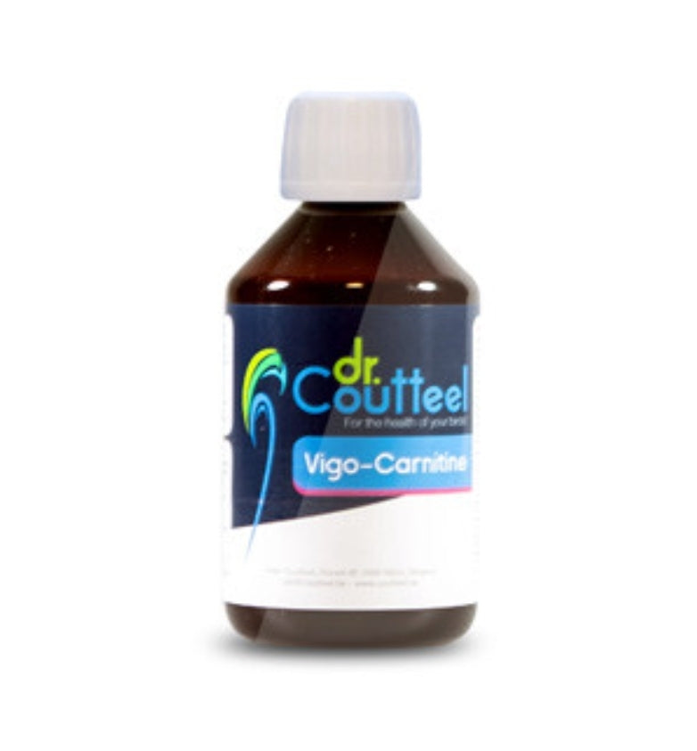 Vigo-Carnitine 250ml, (L-carnitine verrijkt met Magnesium, choline, inositol) - Dr Coutteel