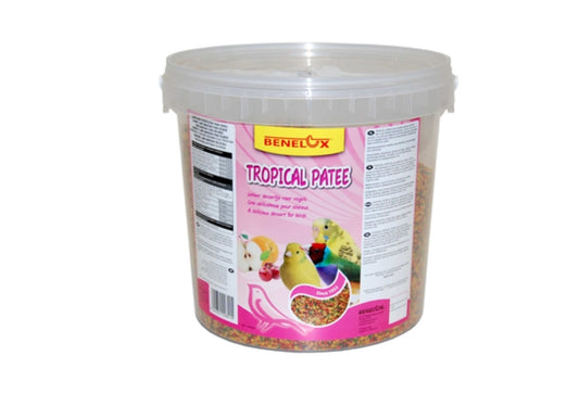 Tropical Patee ( fruit mix ) 5kg - Benelux