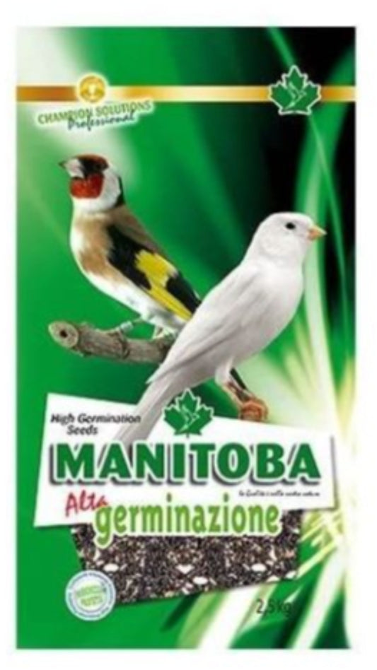 Manitoba Alta Germinazione - 2,5kg
