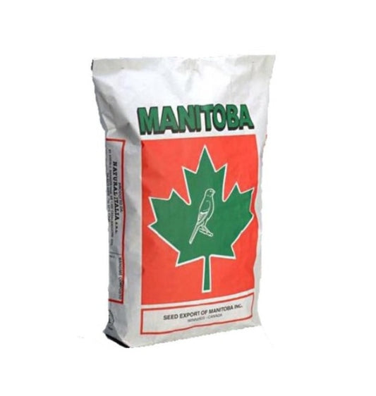 Manitoba Kanarie T3 Platino (Met Perilla) - 5kg