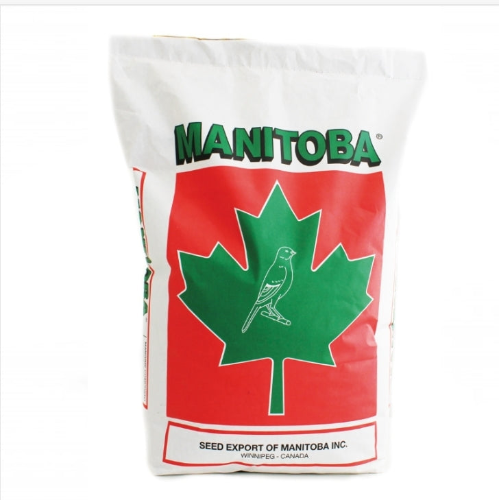 Manitoba Exotic extra fancy - Australische prachtvinken -.Witte Perilla - 20kg