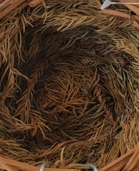 Nest Inlandse vogels Met Haak ( dennentakken ) Ø 12mm