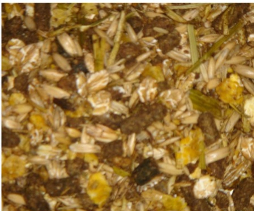 HippoX Breeder Mix 20kg - Deli Nature