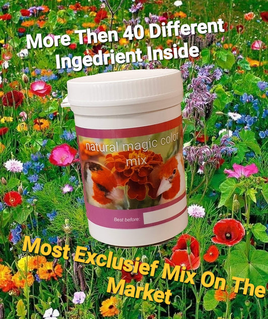 Natural Magic Color Mix ( 150 gram ) - Nature Herb Bird Products