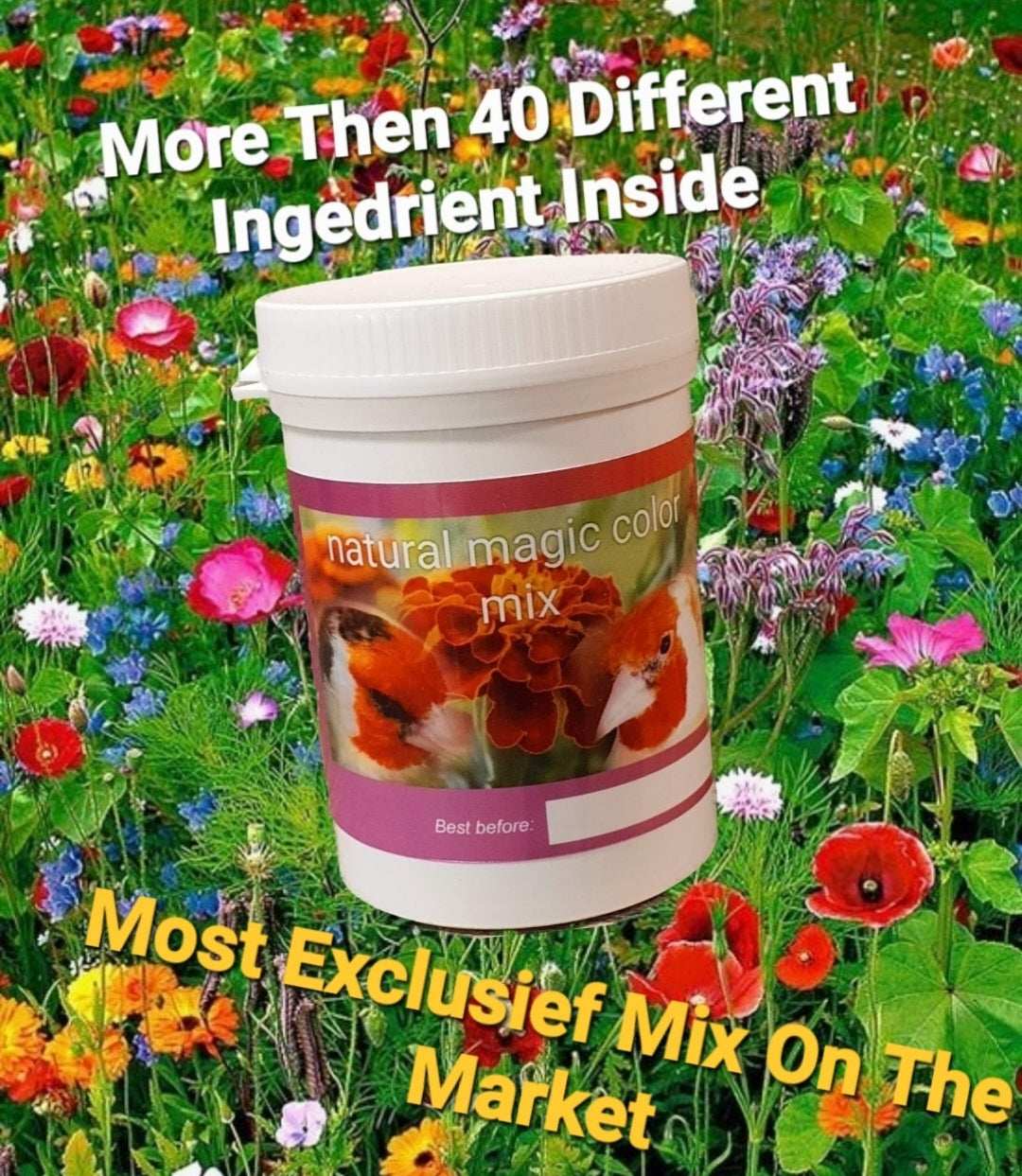 Perfect Moulting - Herb Bird Mix