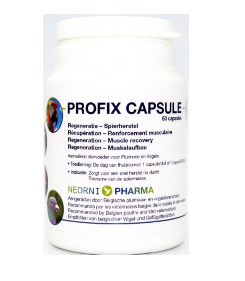 Profix Capsule 50caps - Neornipharma